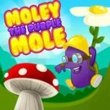 PURPLE MOLE